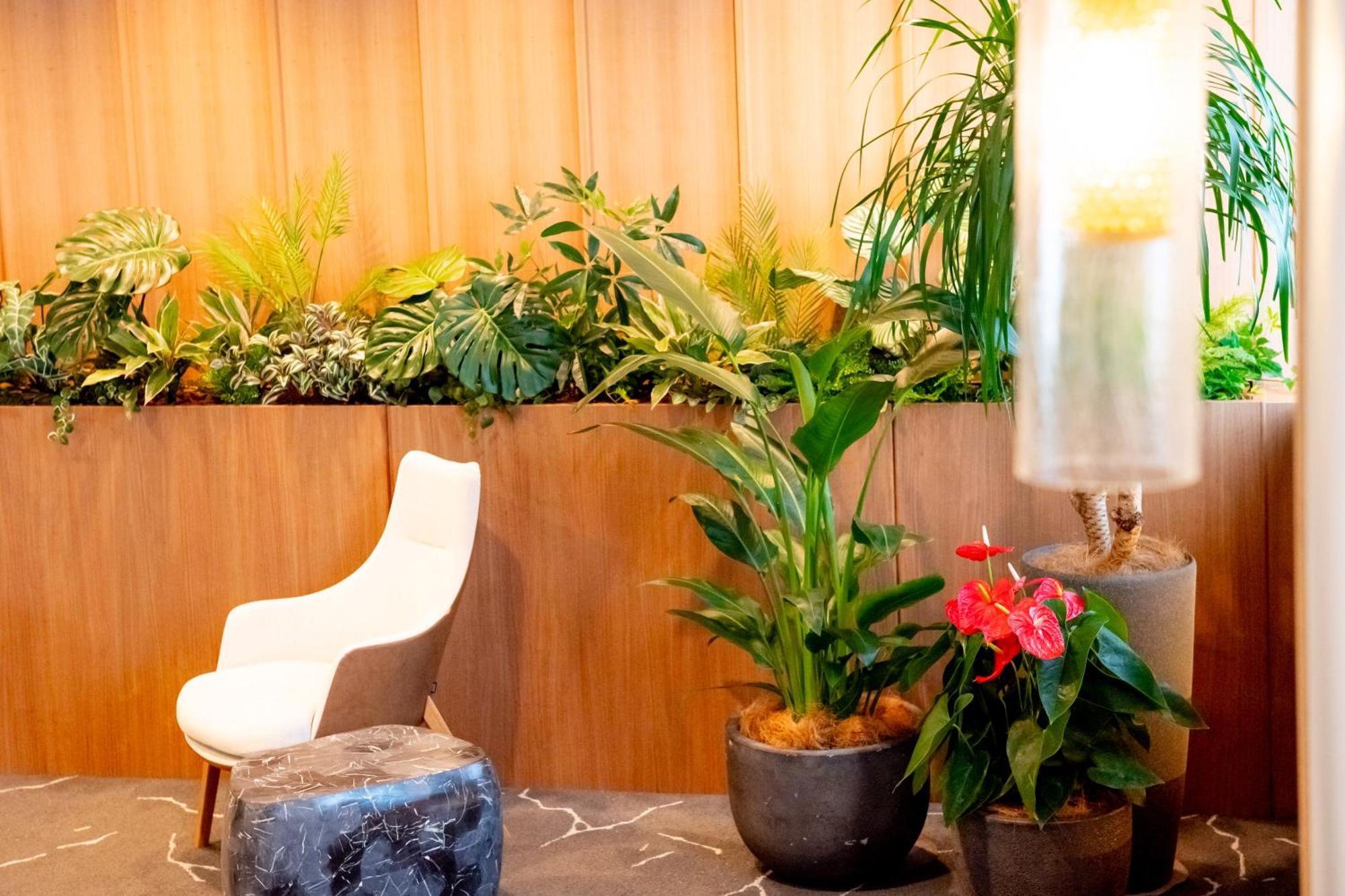 Richmond Hotel Miyazakiekimae Extérieur photo